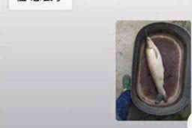 贡嘎贡嘎专业催债公司，专业催收