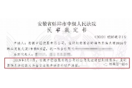 贡嘎贡嘎的要账公司在催收过程中的策略和技巧有哪些？